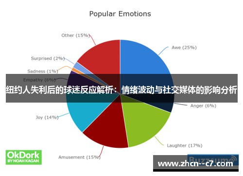纽约人失利后的球迷反应解析：情绪波动与社交媒体的影响分析