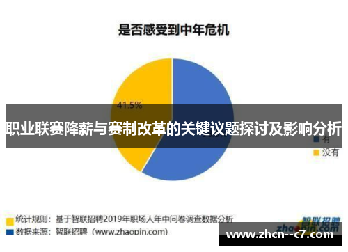 职业联赛降薪与赛制改革的关键议题探讨及影响分析