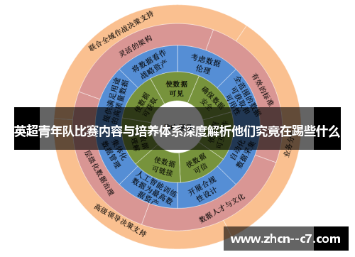 英超青年队比赛内容与培养体系深度解析他们究竟在踢些什么