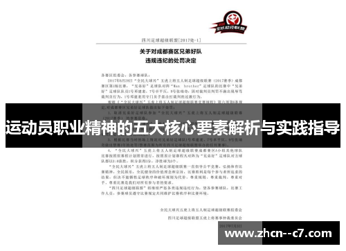 运动员职业精神的五大核心要素解析与实践指导