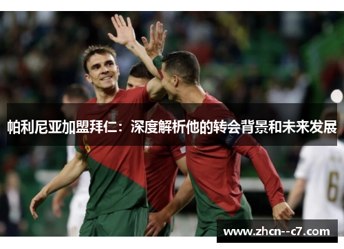 帕利尼亚加盟拜仁：深度解析他的转会背景和未来发展