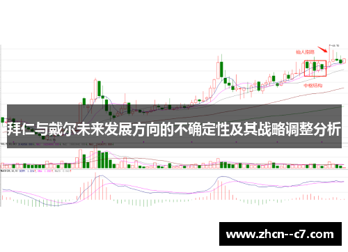 拜仁与戴尔未来发展方向的不确定性及其战略调整分析